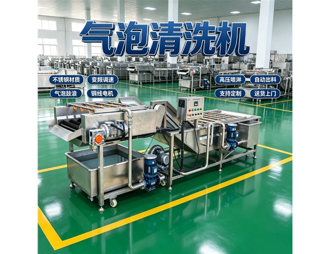 广西黄精气泡清洗机