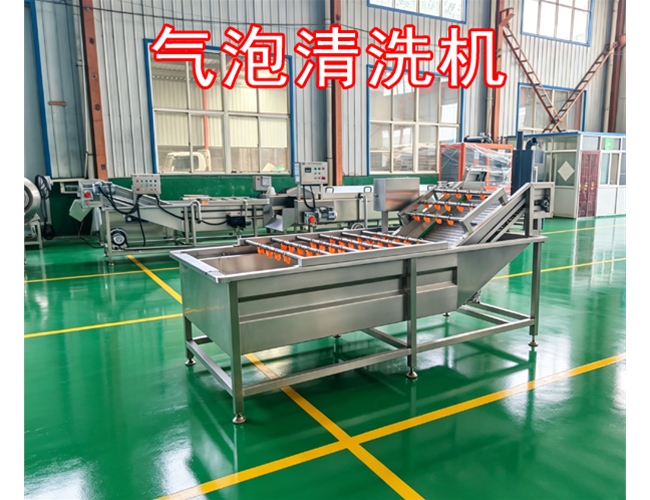 广西银耳气泡清洗机