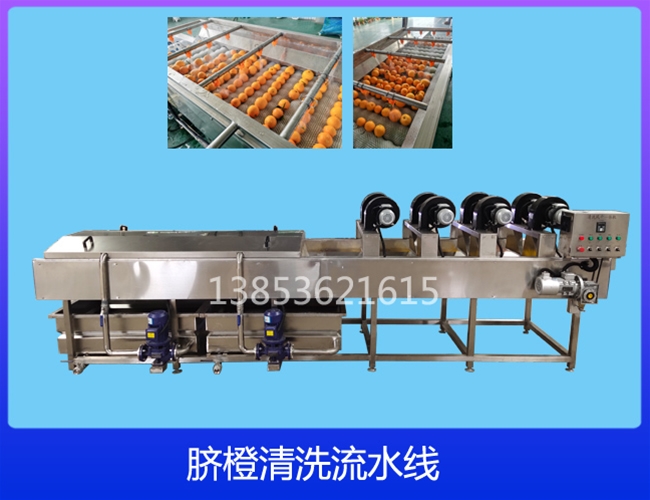 广西沃柑清洗机