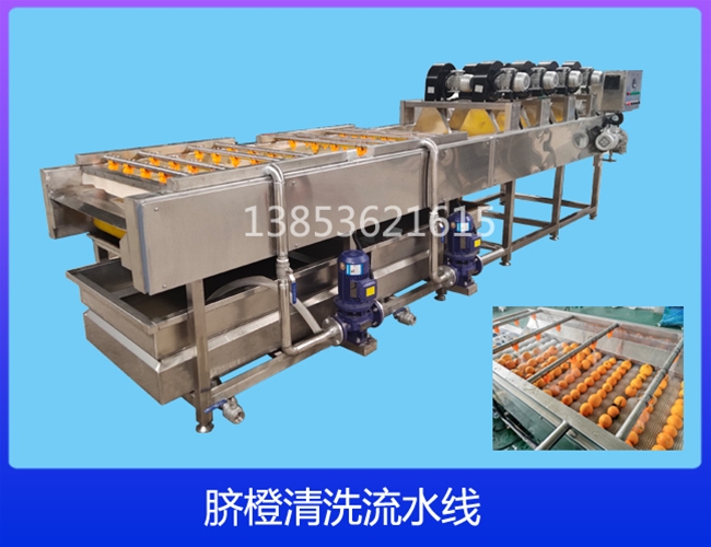 广西柠檬清洗机