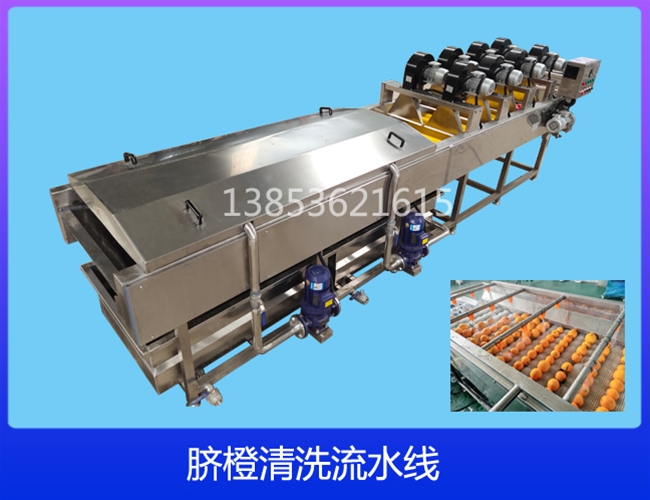 广西陈皮清洗机