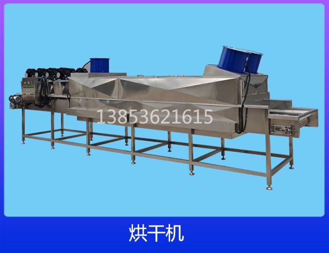 广西电加热网带链板烘干机