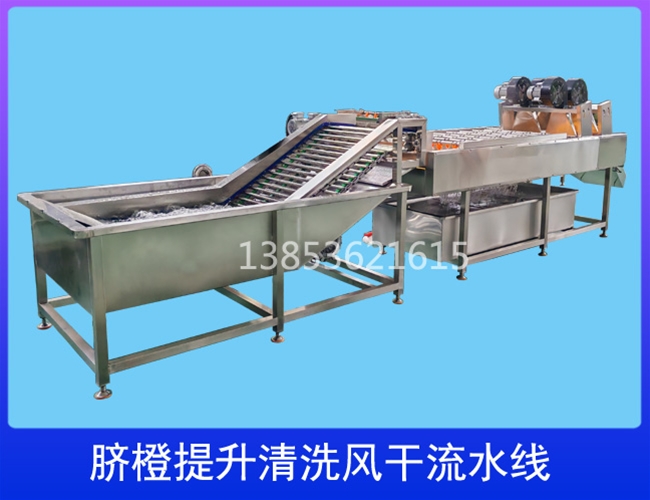 广西柑橘提升清洗流水线