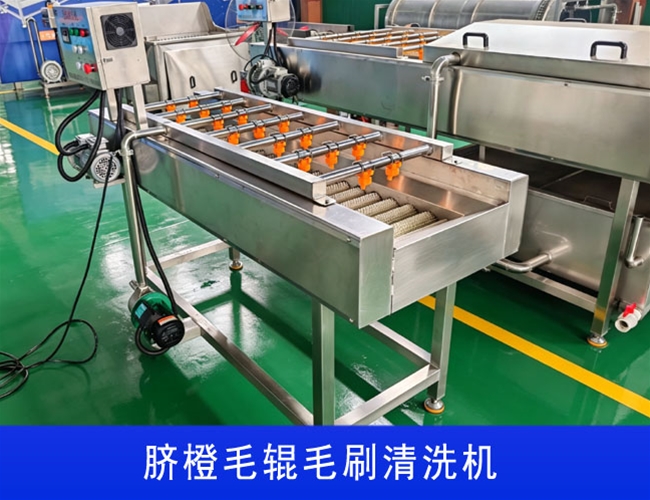 广西沃柑毛辊毛刷清洗机