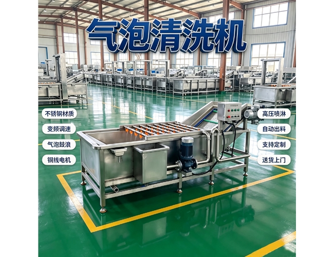 广西根茎类气泡清洗机