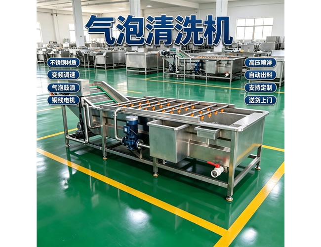 广西鱼虾气泡清洗机