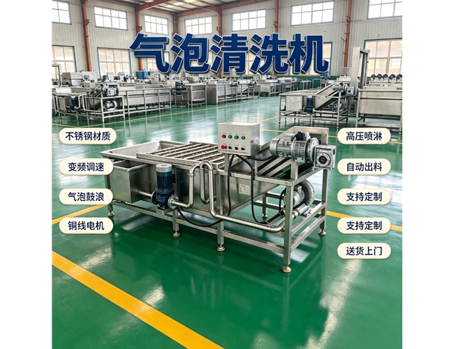 广西草莓气泡清洗机