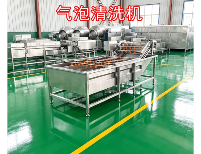 广西山楂气泡清洗机