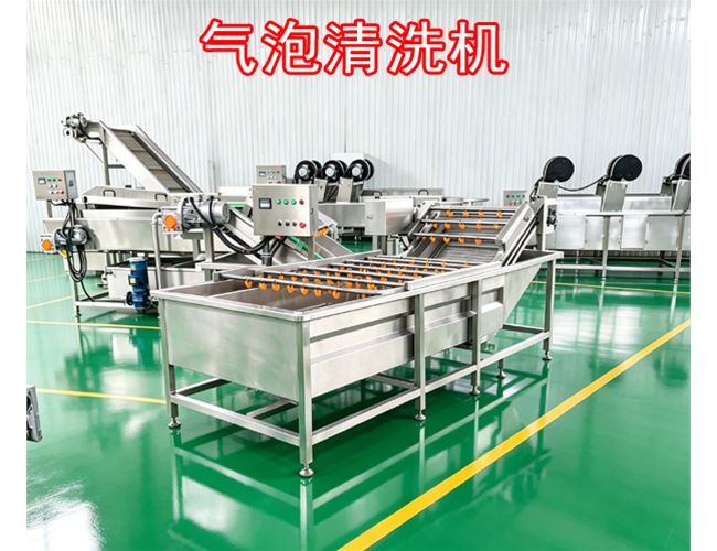 广西桔梗气泡清洗机